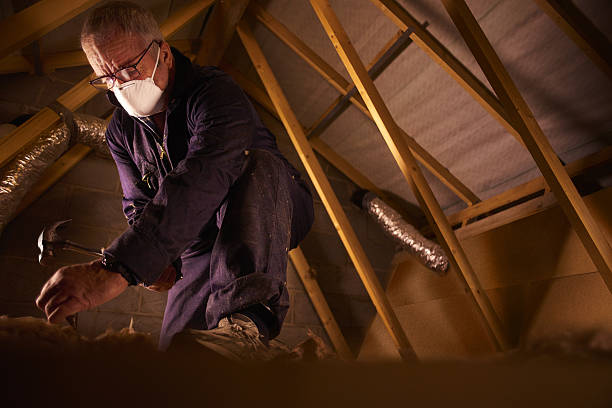Best Insulation Installation Services in Fort Deposit, AL